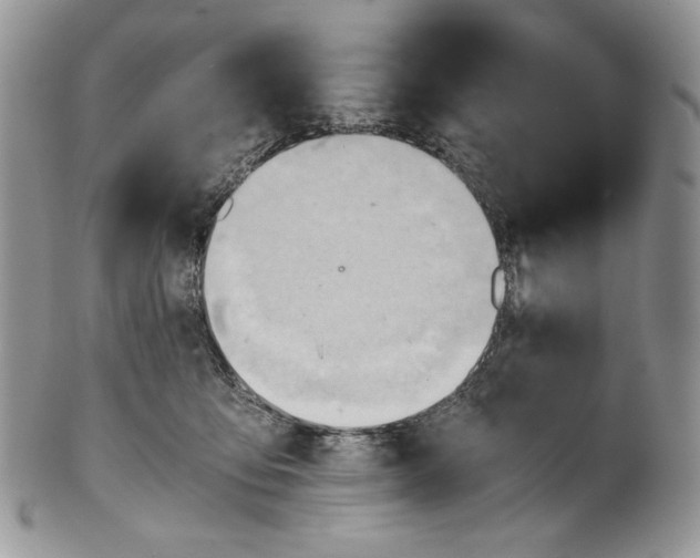 X0000101960419200808011112