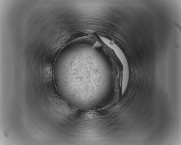 X0000101960420200808011112