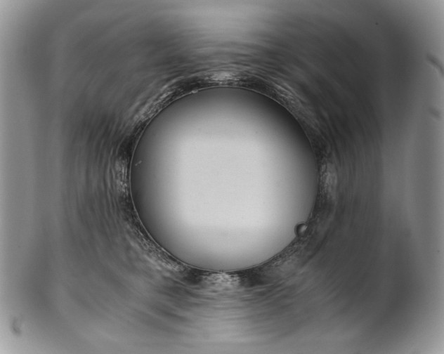 X0000101960421200808011112