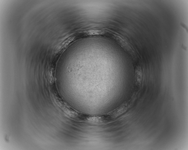 X0000101960422200808011112