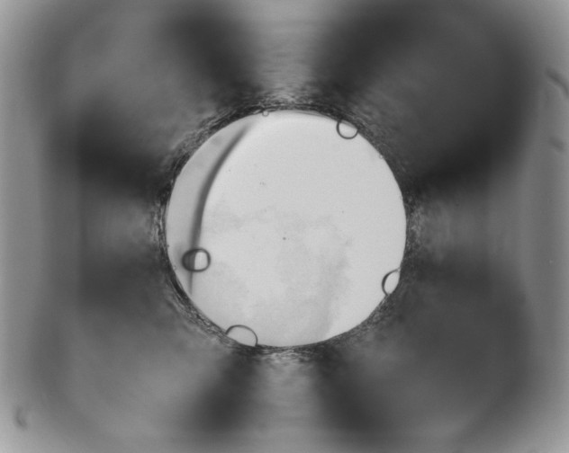 X0000101960423200808011112