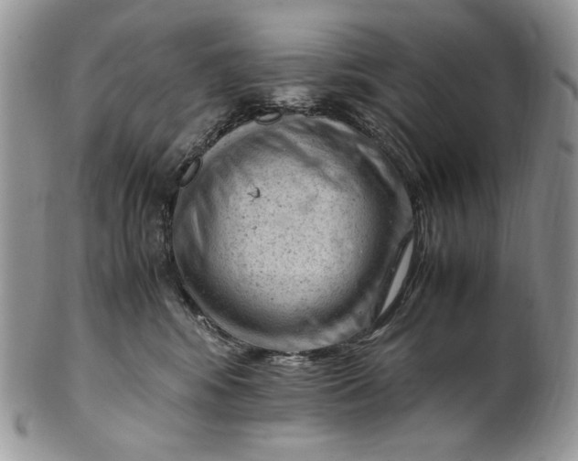 X0000101960424200808011112