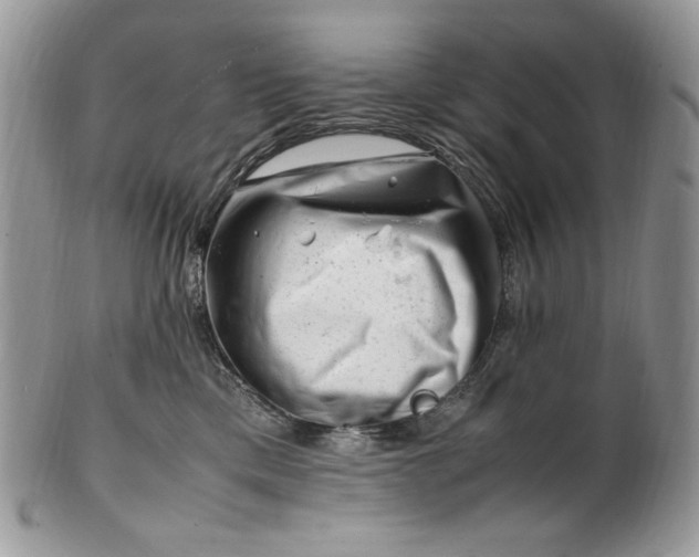 X0000101960425200808011112