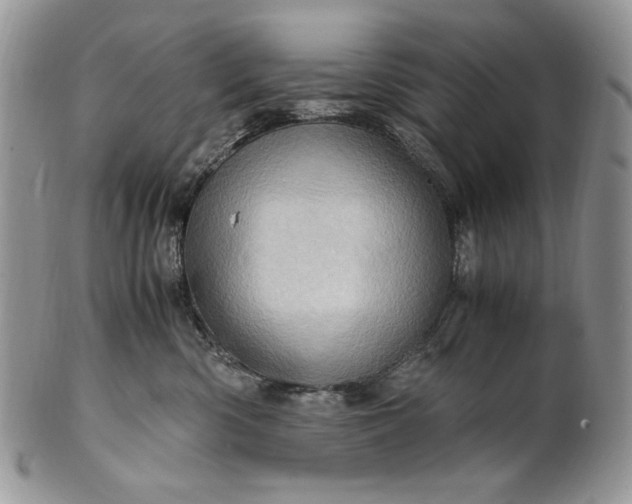 X0000101960426200808011112