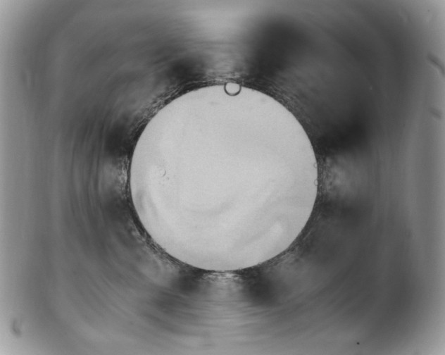 X0000101960427200808011112