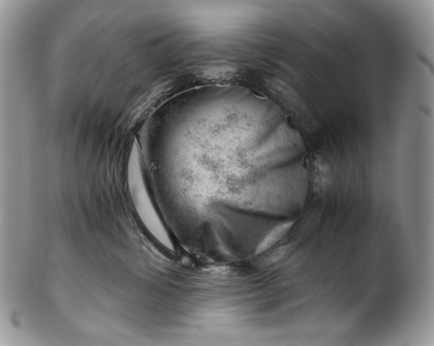 X0000101960428200808011112