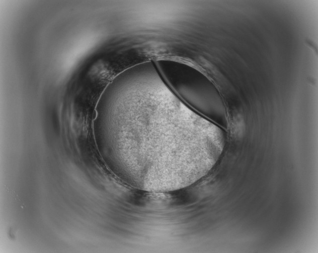 X0000101960429200808011112