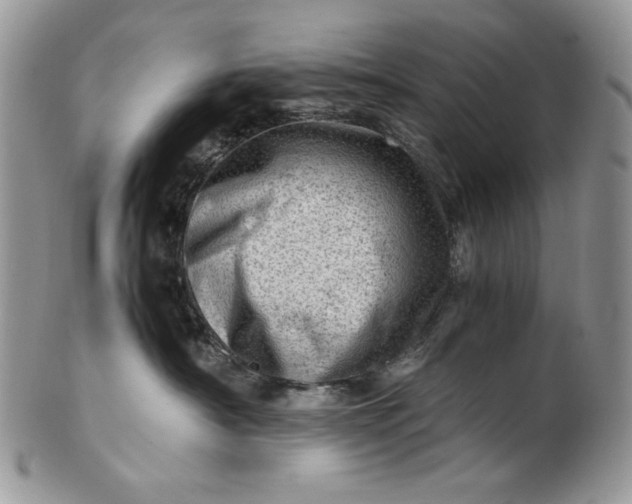 X0000101960430200808011112