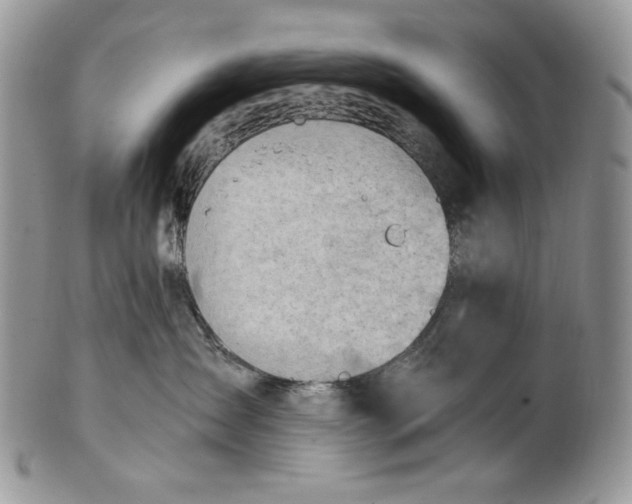 X0000101960431200808011112