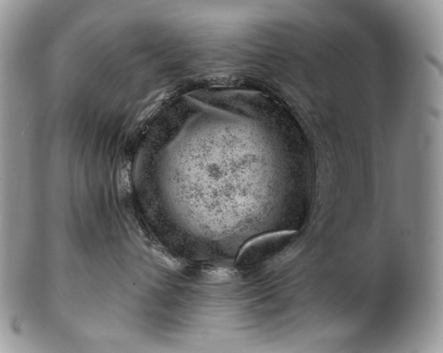 X0000101960432200808011112