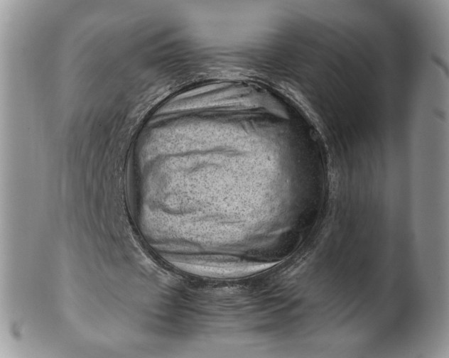 X0000101960433200808011111