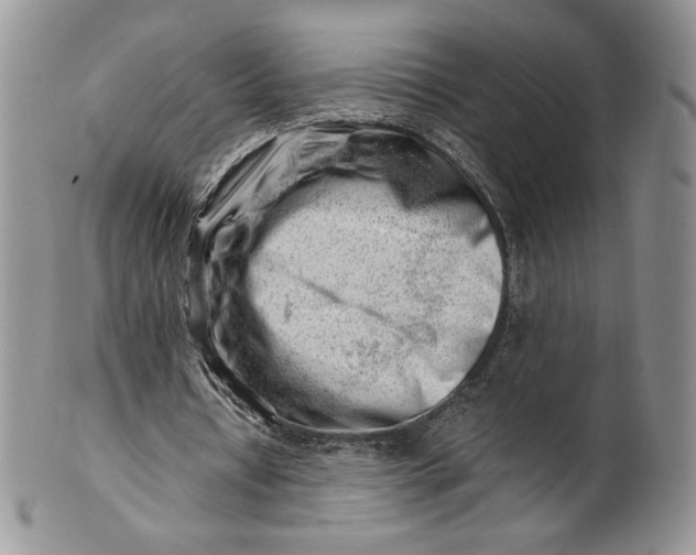 X0000101960434200808011111