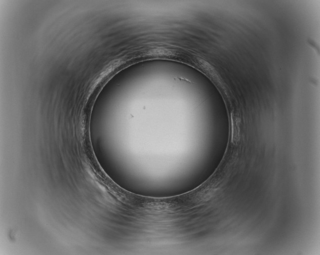 X0000101960435200808011111