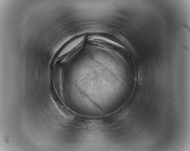 X0000101960436200808011111