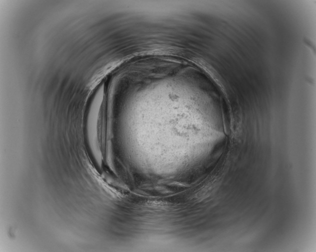 X0000101960437200808011111