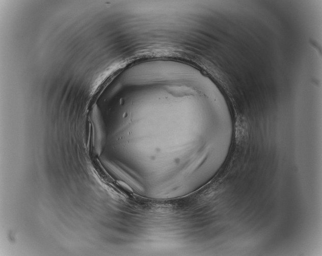 X0000101960438200808011111