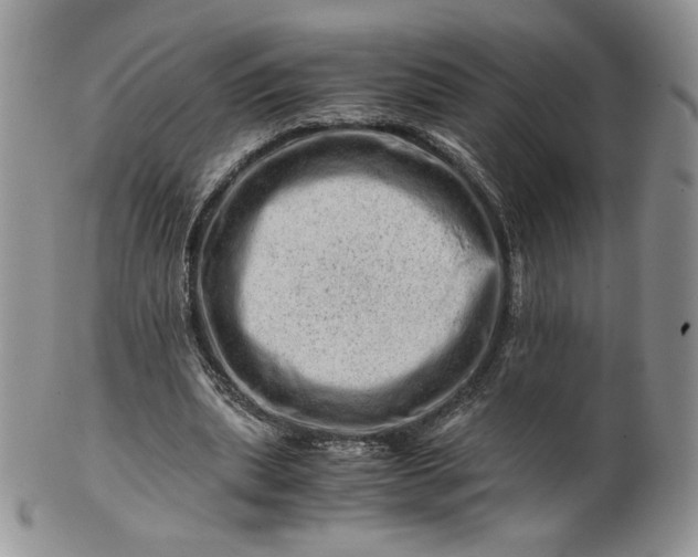 X0000101960439200808011111