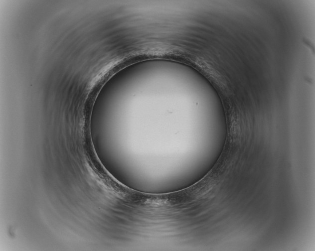 X0000101960440200808011111