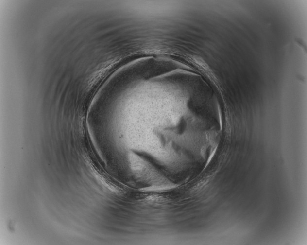 X0000101960441200808011111