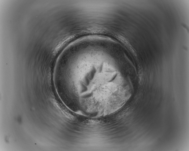 X0000101960442200808011111