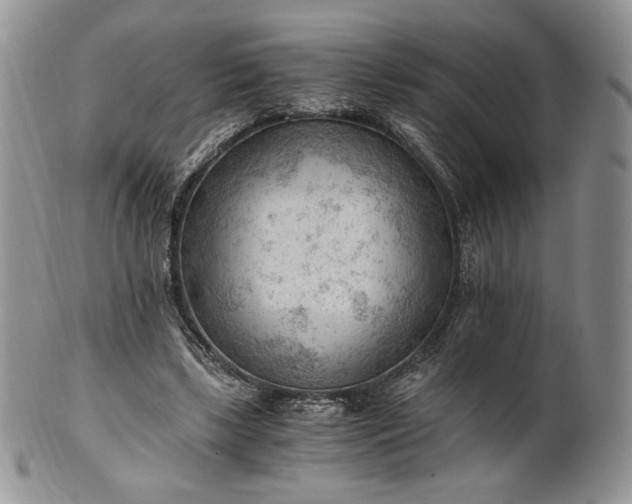 X0000101960443200808011111