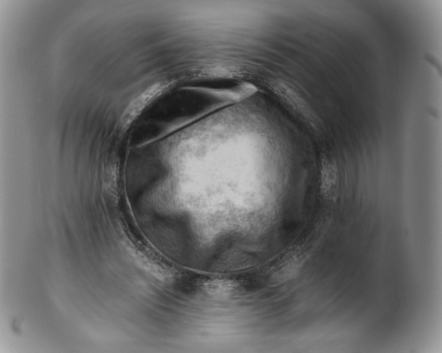 X0000101960444200808011111