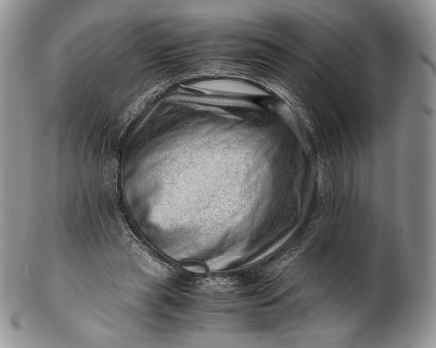 X0000101960445200808011111