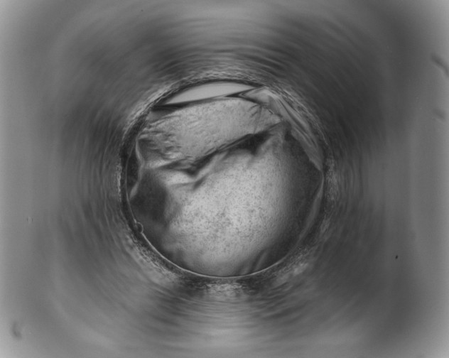 X0000101960446200808011111