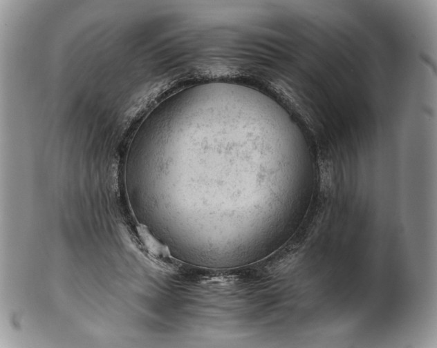 X0000101960447200808011111