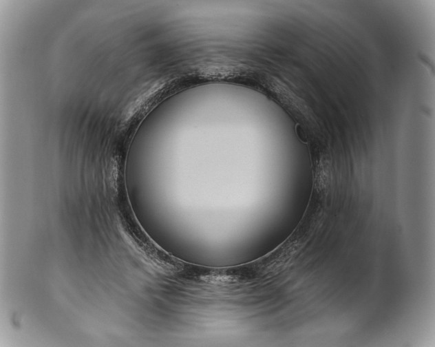 X0000101960448200808011111