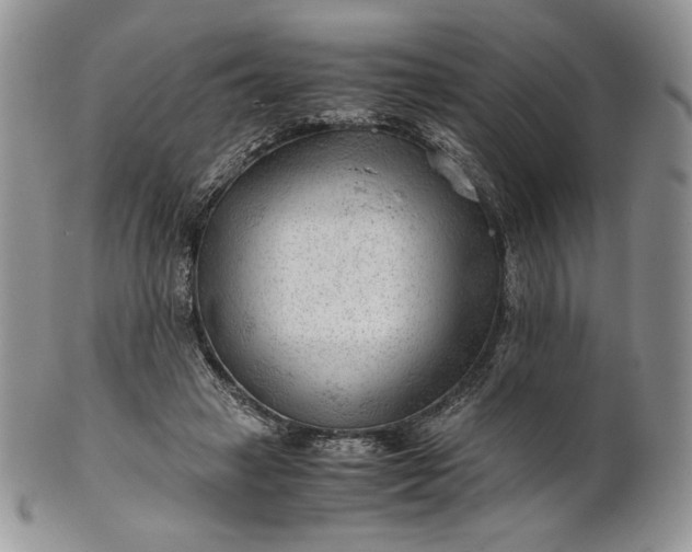 X0000101960449200808011111