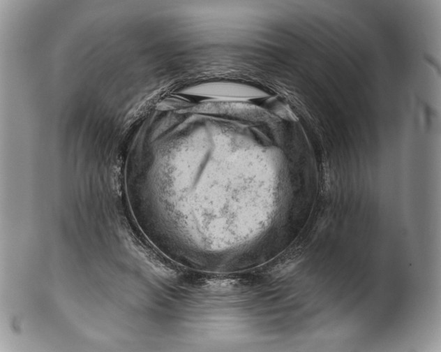 X0000101960450200808011111