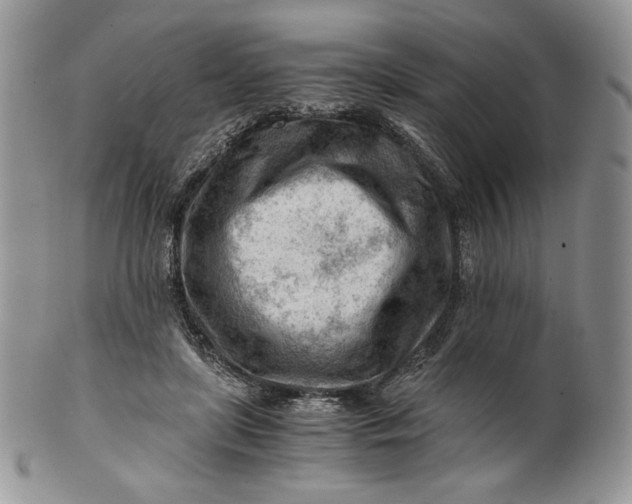 X0000101960451200808011112