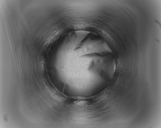 X0000101960452200808011112