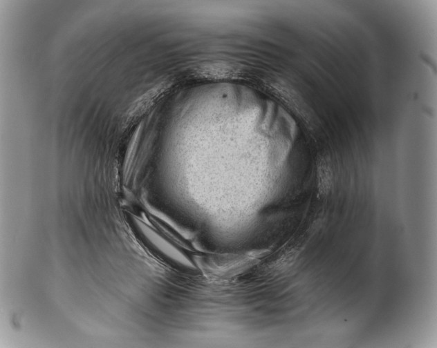 X0000101960453200808011112