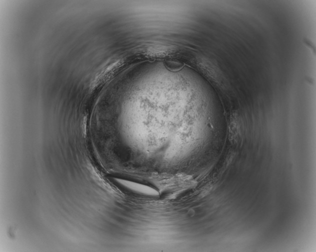 X0000101960454200808011112