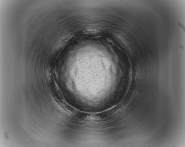 X0000101960455200808011112