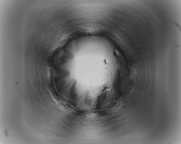 X0000101960456200808011112