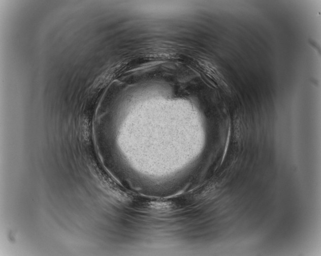 X0000101960457200808011112