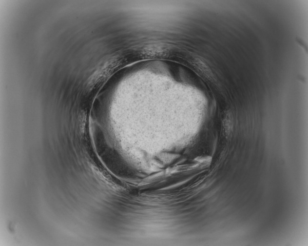 X0000101960458200808011112