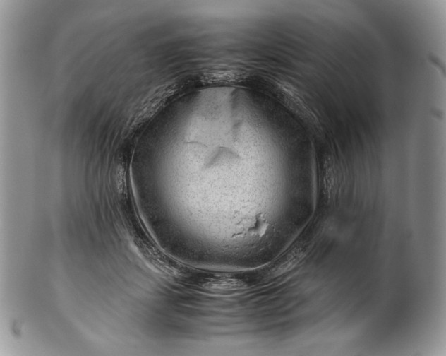 X0000101960459200808011112