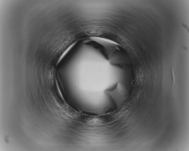 X0000101960460200808011112