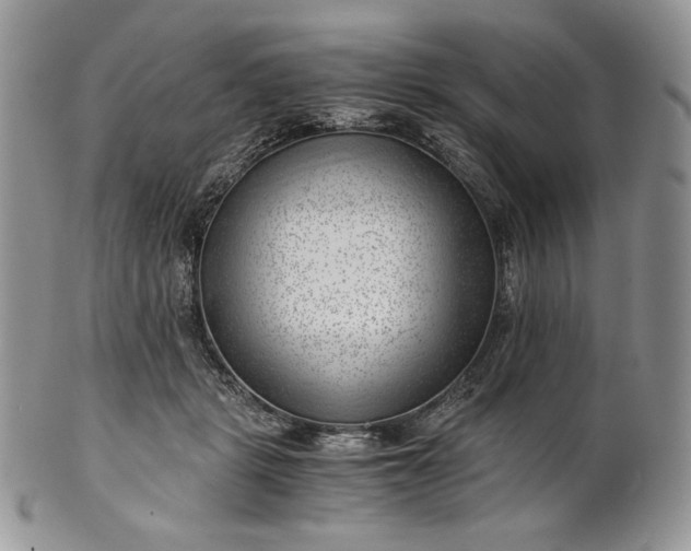 X0000101960461200808011112