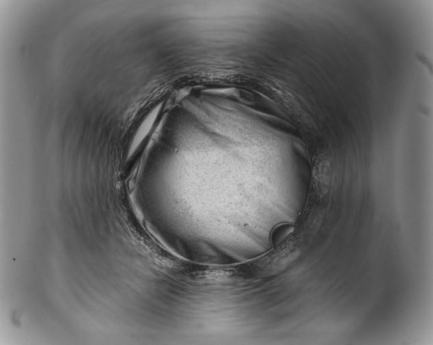 X0000101960462200808011112