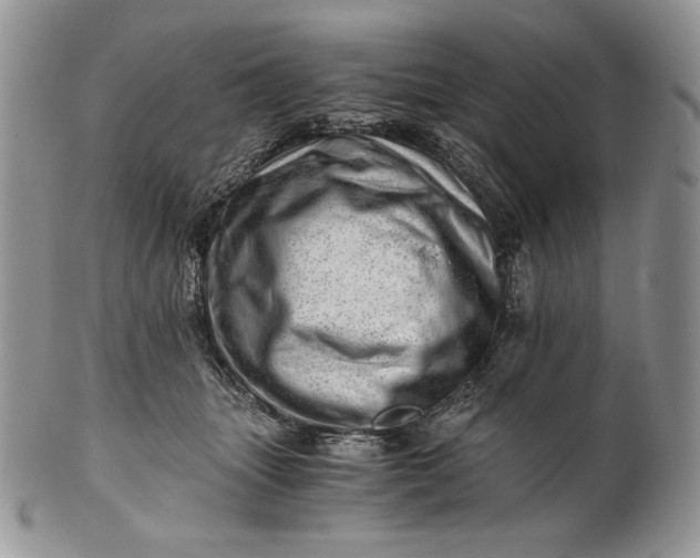 X0000101960463200808011112