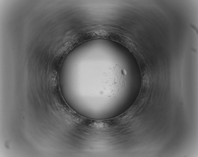 X0000101960464200808011112