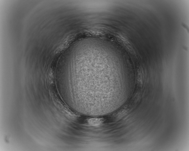 X0000101960465200808011112