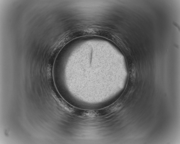 X0000101960466200808011112