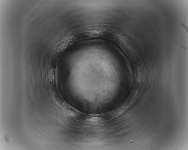 X0000101960467200808011112