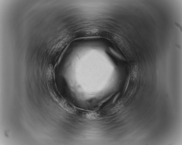 X0000101960468200808011112